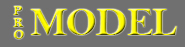 Pro Model Logo